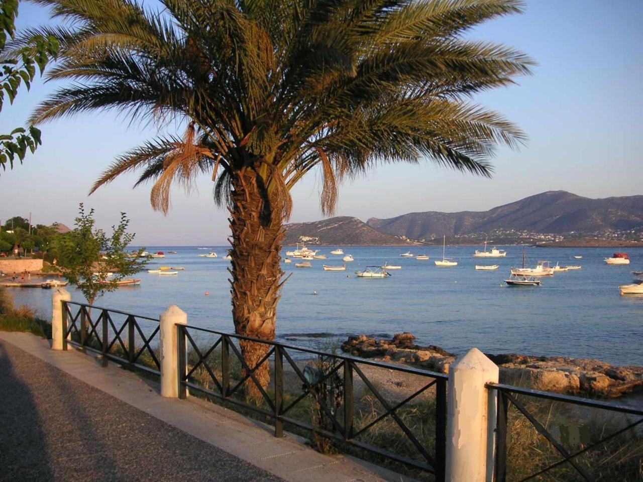 The Mirador Boutique Villa With Scenic Sea View Pórto Ráfti 外观 照片